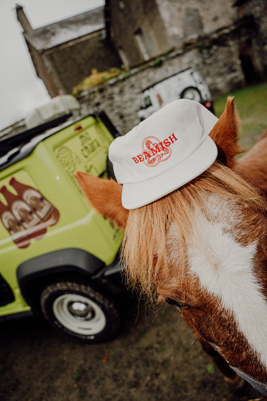 BEAMISH DAD CAP