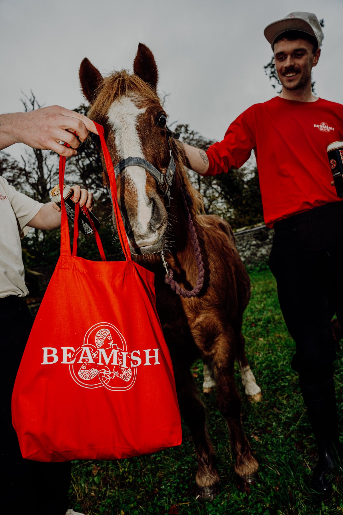 beamish tote bag